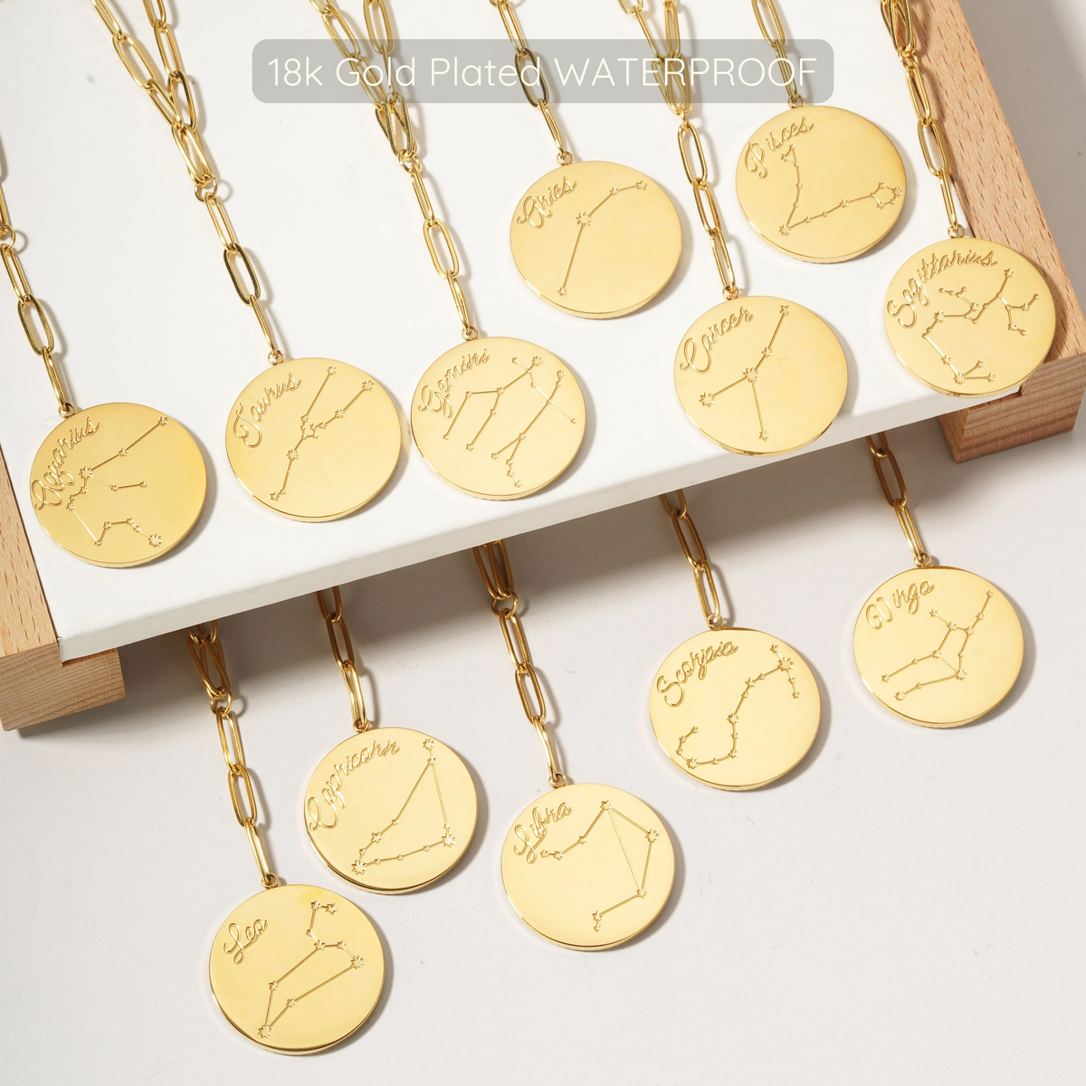 Updated Symone Zodiac Necklace - Waterproof - Silver Plated PVD Plated