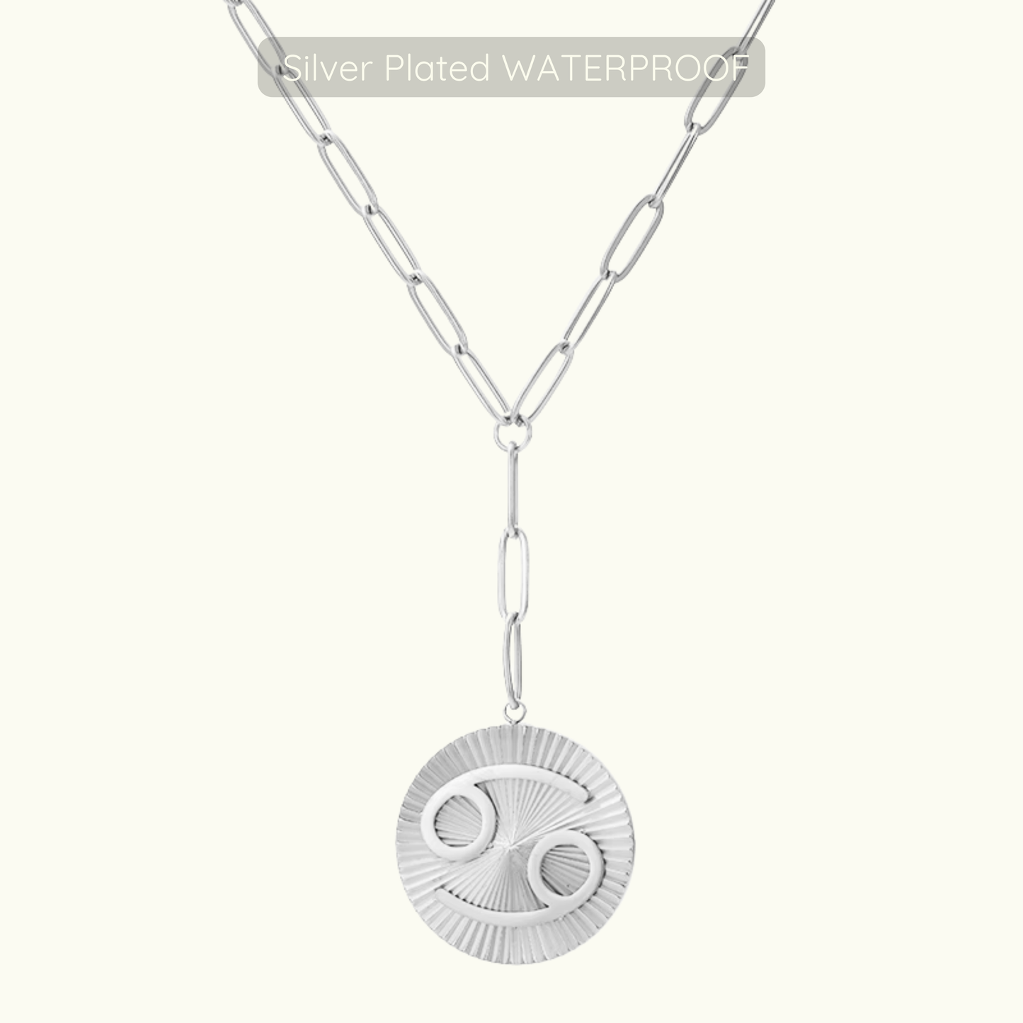 Updated Symone Zodiac Necklace  - Waterproof - Silver Plated PVD Plated